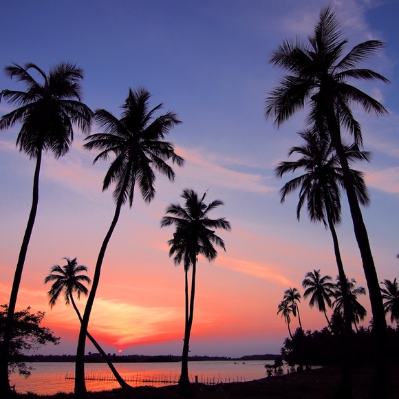 Meet your Posher, Kristen - Picture 1 of 1